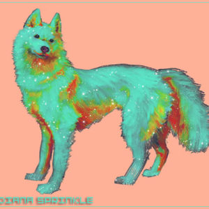 Star Dog