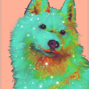 Star Dog Face